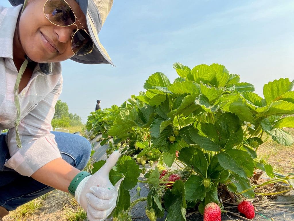 Professor Cholani Weebadde with a strawberry plant