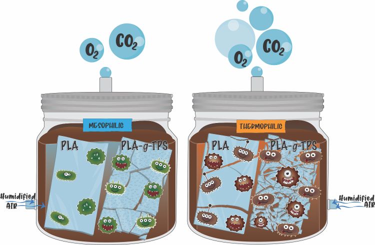 Thermoplastic starch 