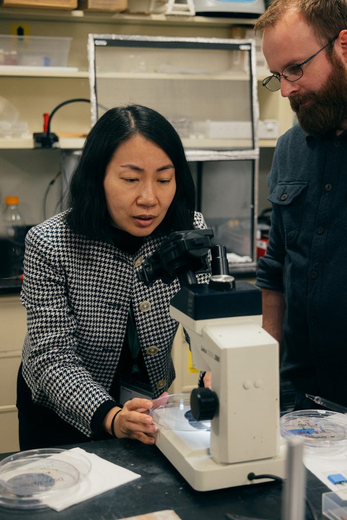 Micro Technologies, Macro Impact: Wen Li’s Sensor Revolution - MSU ...