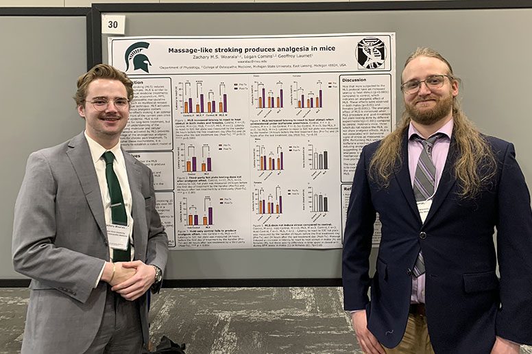 New research into pain relief - MSU Innovation Center