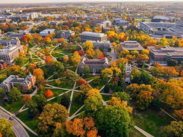 MSU