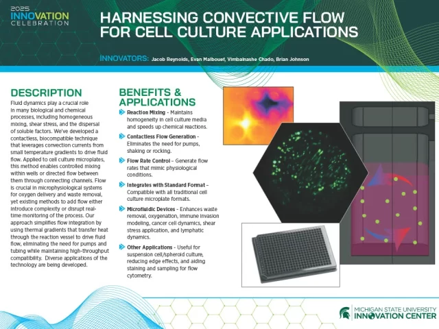 1743456714493-2cccf366-4e84-4286-b349-a3a061a86ed025_1