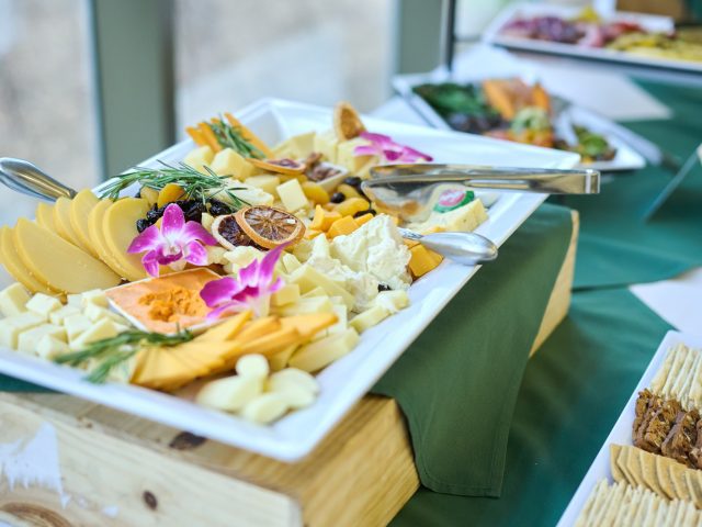 MSU Innovations_04-01-2025-072