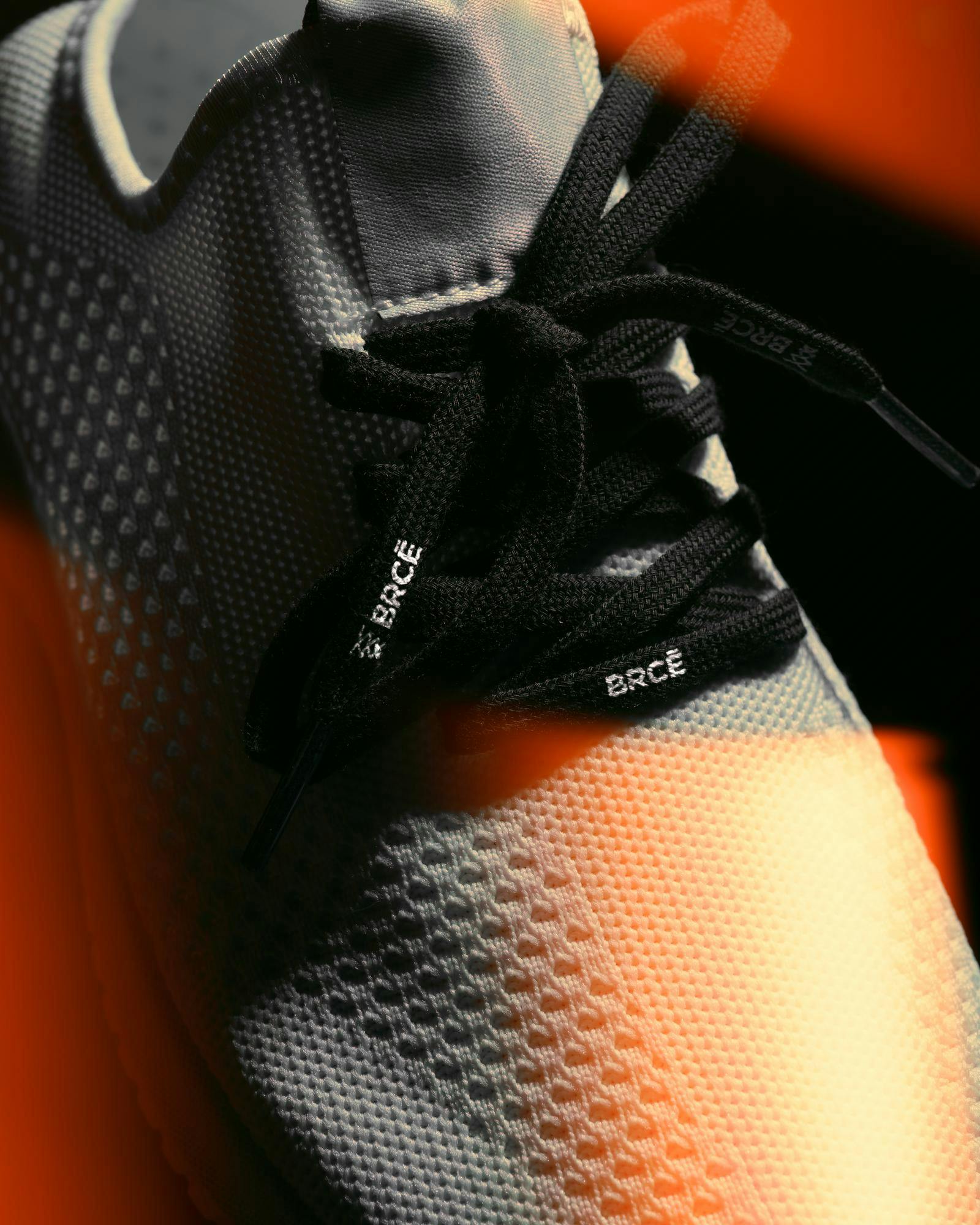 shoelace