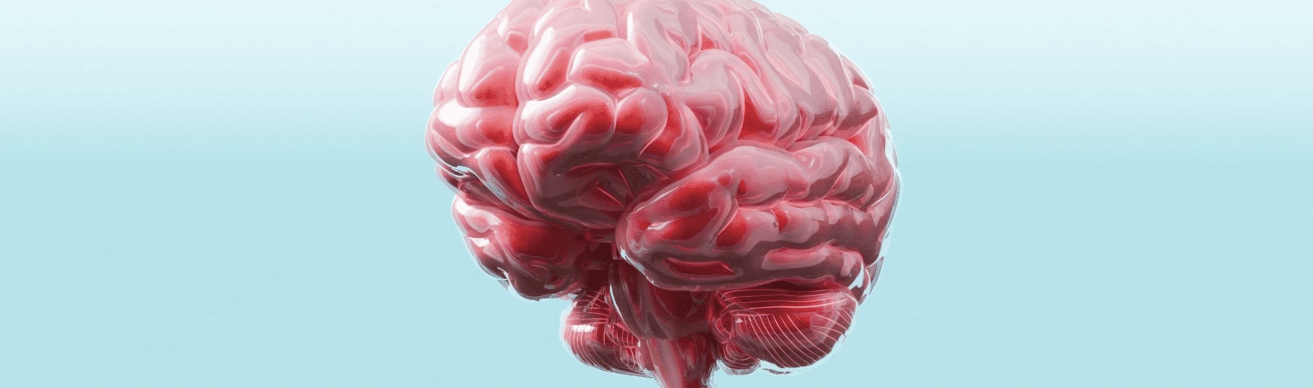 brain