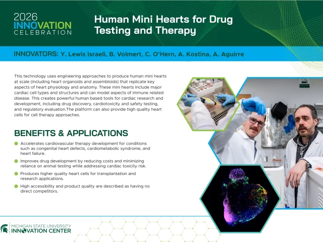 Human Mini Hearts for Drug Testing and Therapy PRINT