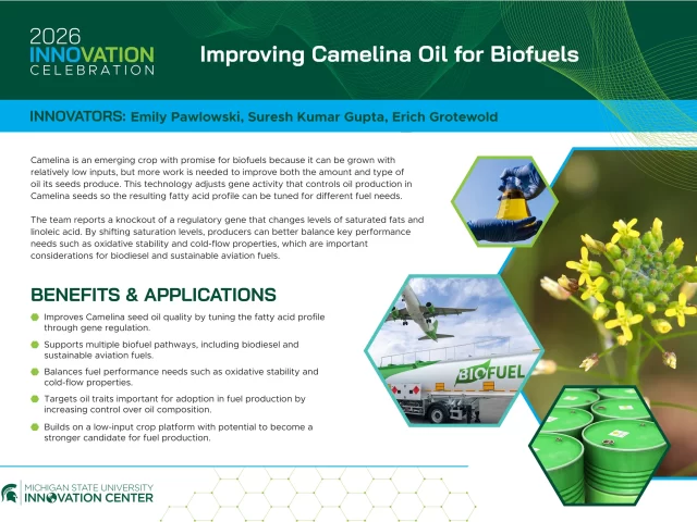 Improving Camelina Oil for Biofuels PRINT