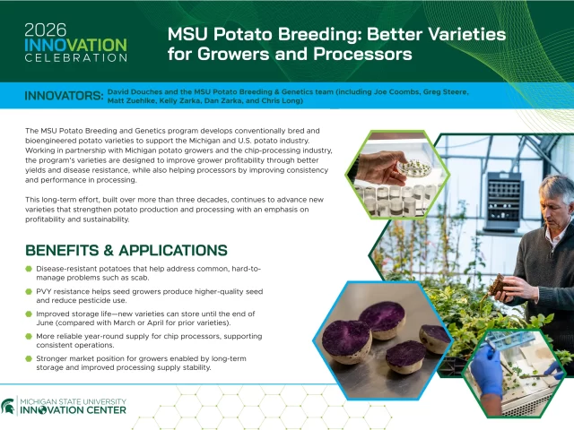 MSU Potato Breeding- Better Varieties for Growers and Processors PRINT