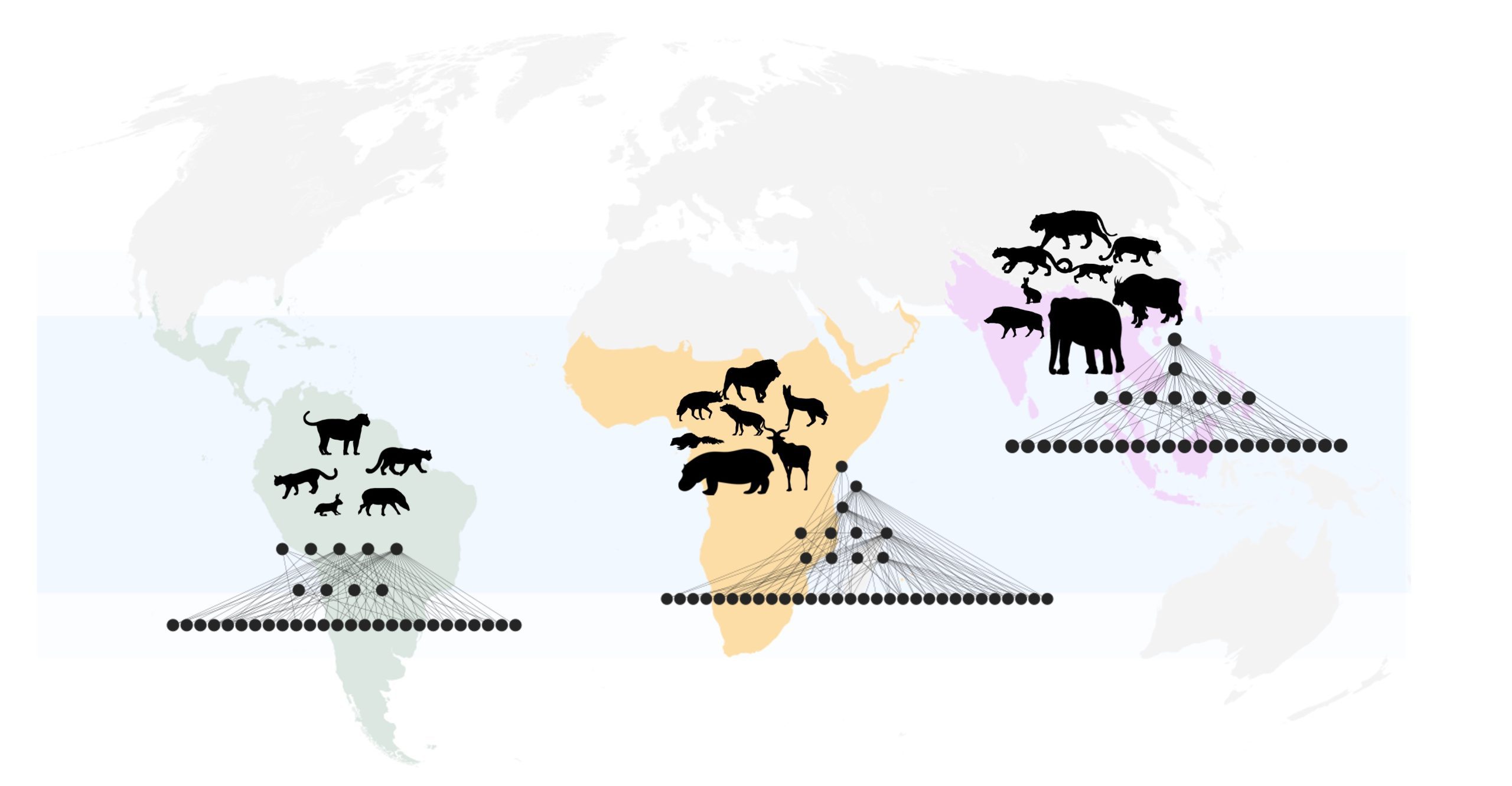 mammals