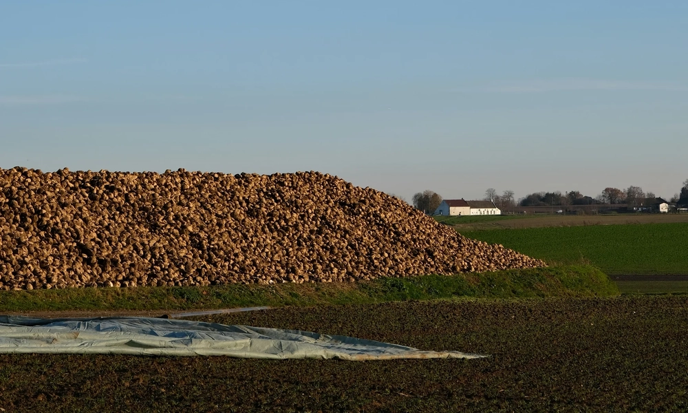 agriculture